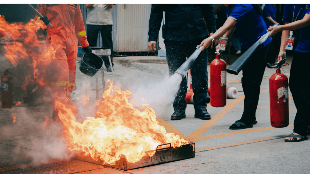 imgi_12_kubgyf424z6j6rki