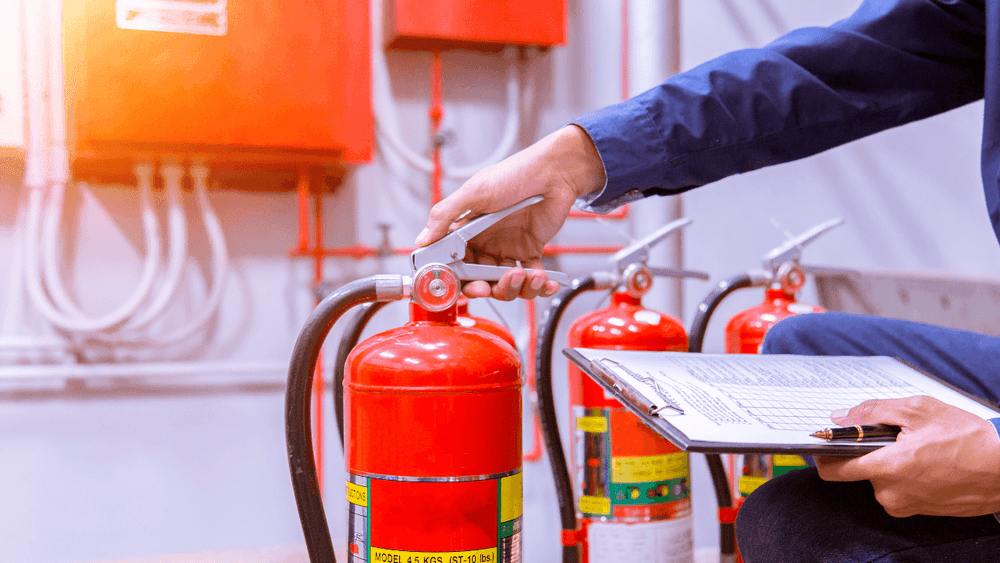 imgi_19_0sb3owl3s5xfn52a