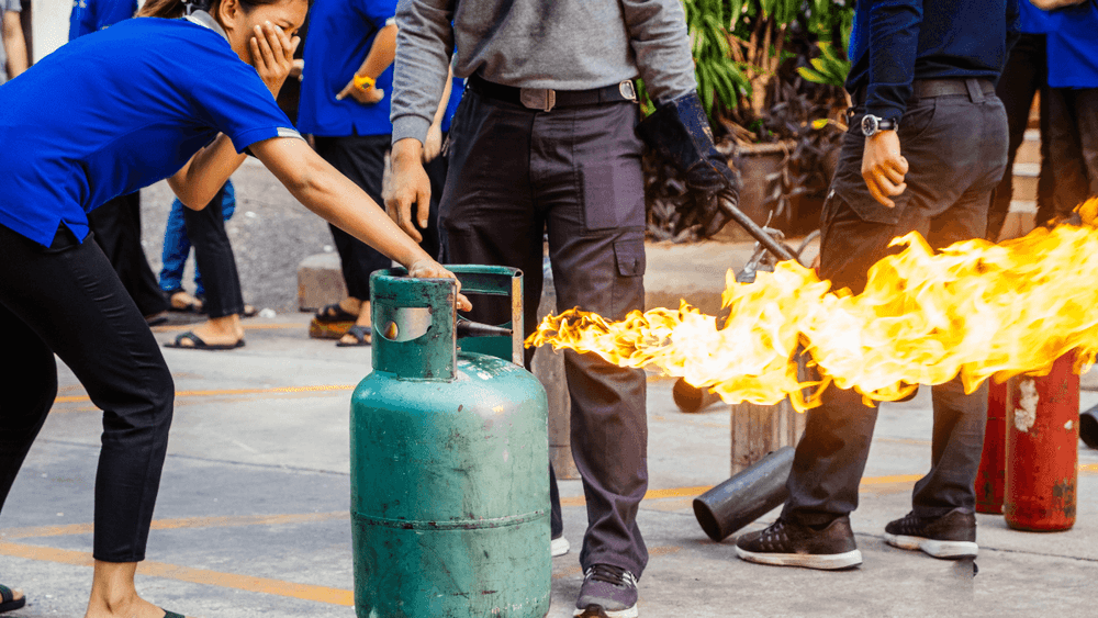 imgi_19_7knob25ptk835797