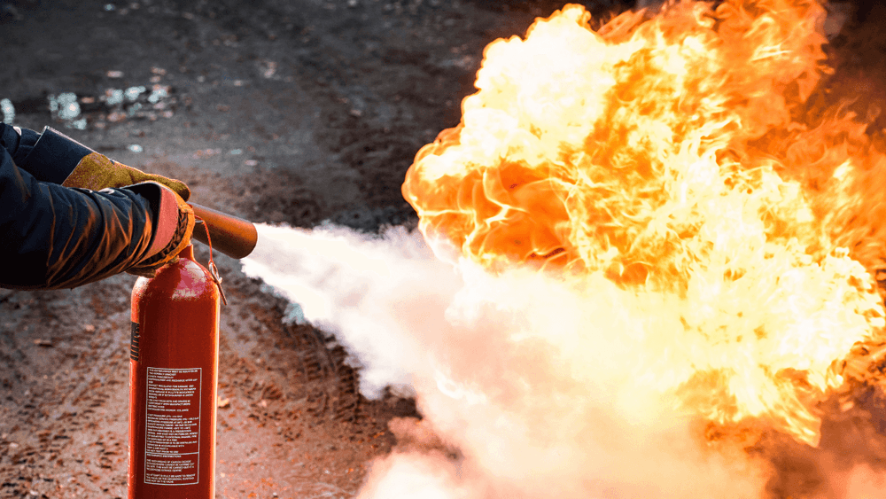 imgi_23_c4tskefdl992n7g9