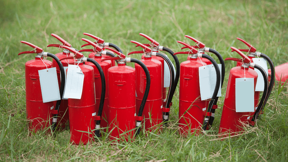 imgi_25_1kh1phypwivjs3cy