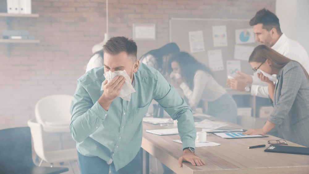 imgi_30_8ek82zzw32egkkbb