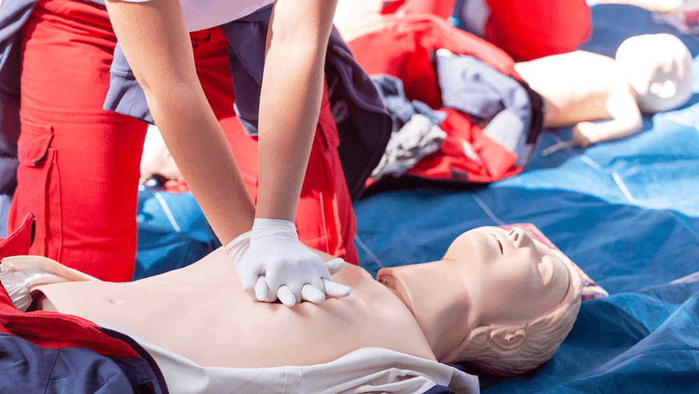 imgi_34_hx6aoy1r8tq65vwf